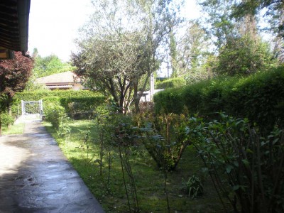 Villa - Pietrasanta - Marina di Pietrasanta