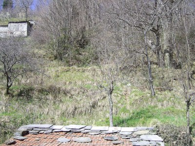 Porzione rustico - Stazzema - Terrinca