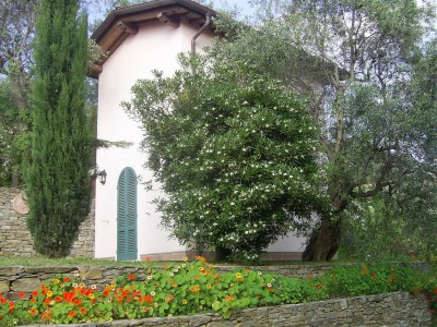 Villa - Pietrasanta - Ponte Aranci