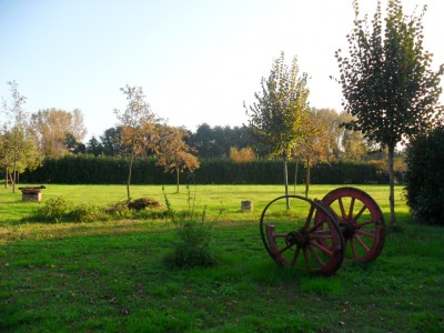 Rustico - Pietrasanta - Padule