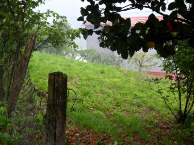 Casa - Stazzema - Terrinca