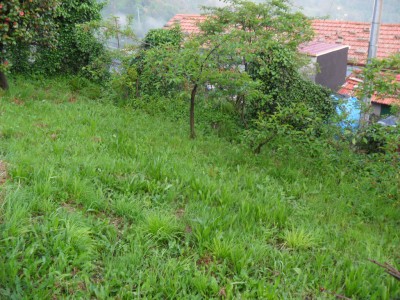 Casa - Stazzema - Terrinca