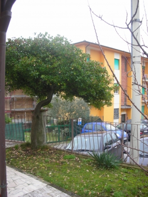 Casa - Massarosa - Corsanico