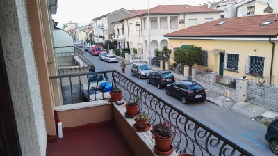 Viareggina - Viareggio - Viareggio centro