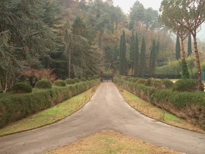 Villa - Camaiore - Nocchi