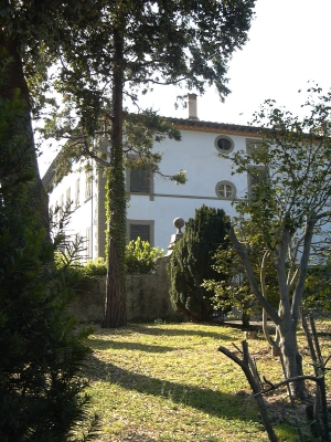 Villa - Camaiore - Nocchi