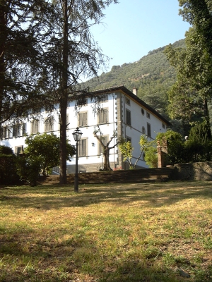 Villa - Camaiore - Nocchi