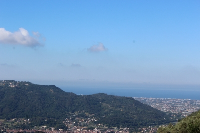 Terratetto - Camaiore - Casoli