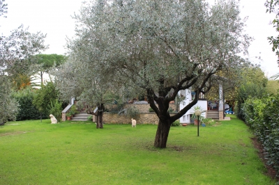 Villa - Camaiore - Capezzano