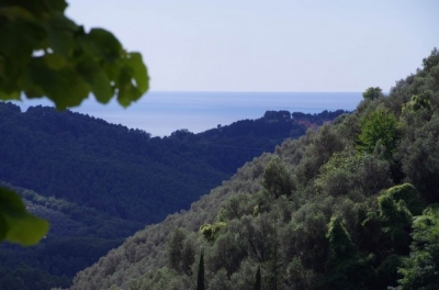 Porzione di casale - Camaiore - Torcigliano