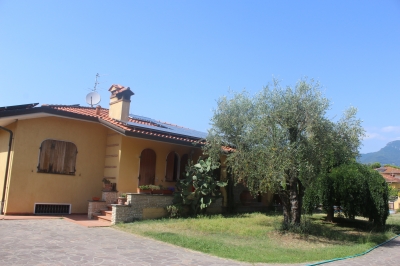 Villa - Camaiore - Lido di Camaiore