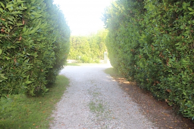 Villa - Pietrasanta - Marina di Pietrasanta