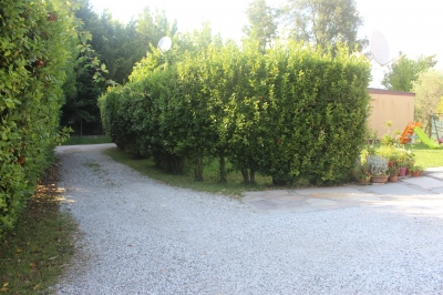 Villa - Pietrasanta - Marina di Pietrasanta