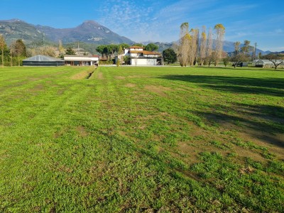 Villa - Pietrasanta - Traversagna