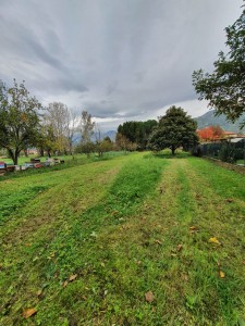 Porzione di casale - Pietrasanta - Pontestrada