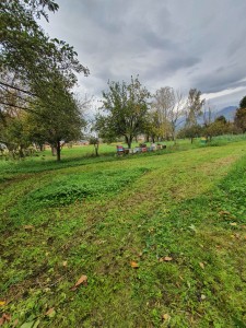 Porzione di casale - Pietrasanta - Pontestrada