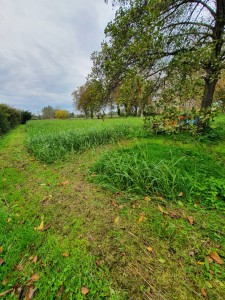 Porzione di casale - Pietrasanta - Pontestrada