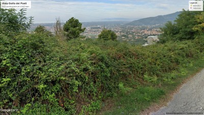 Agricoli - Pietrasanta - Solaio