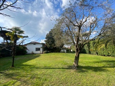 Villa - Pietrasanta - Marina di Pietrasanta