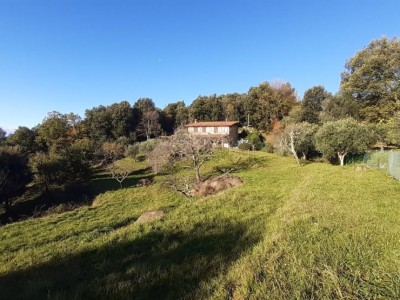 Villa - Pietrasanta - Capezzano Monte