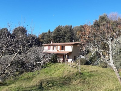 Villa - Pietrasanta - Capezzano Monte