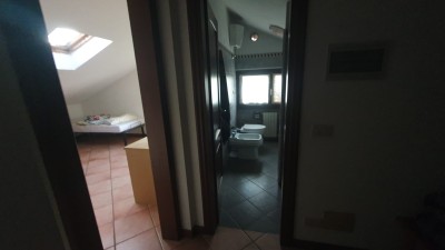 Villa - Pietrasanta - Marina di Pietrasanta